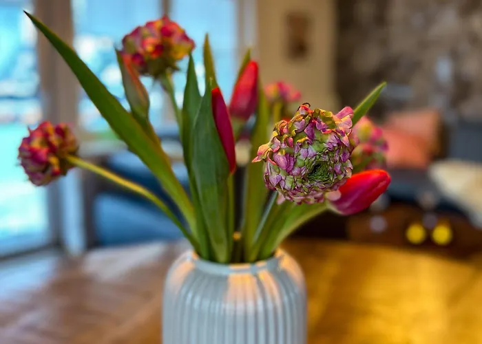 Am Hoehlchen اولسبرغ