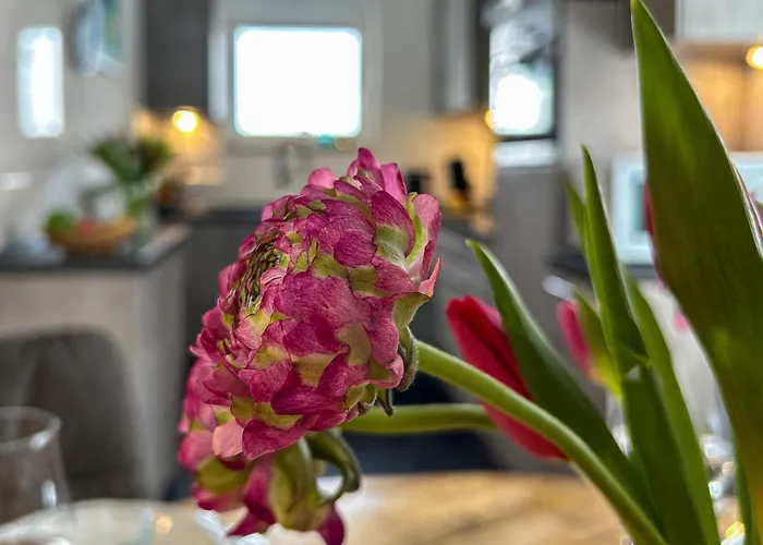 Am Hoehlchen بيت للعطل